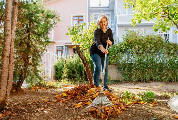 How To Clean A Backyard in El Cajon, CA