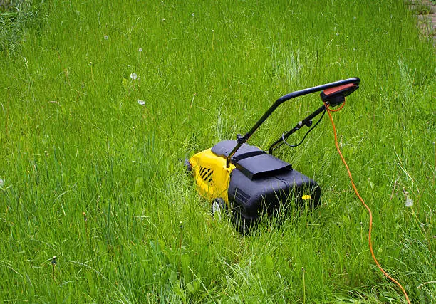 Can you mow wet grass El Cajon, CA