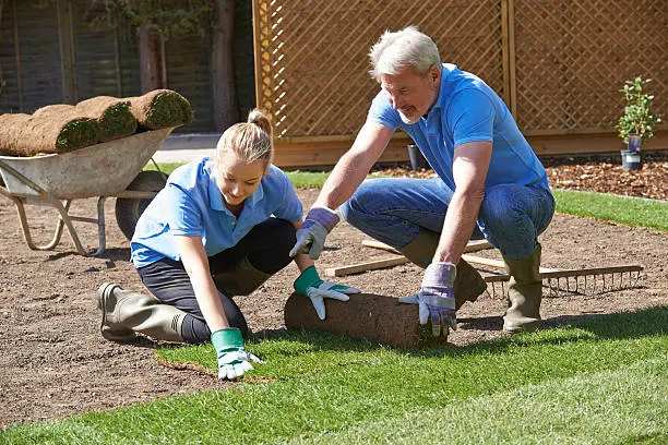 Dependable Sod Installation in El Cajon, CA