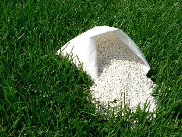 How often should you fertilize your lawn El Cajon, CA