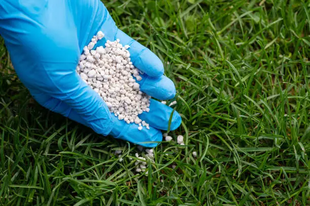 How often should you fertilize your lawn in El Cajon, CA