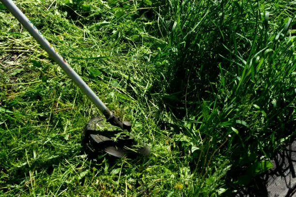 How to clear a yard full of weeds in El Cajon, CA