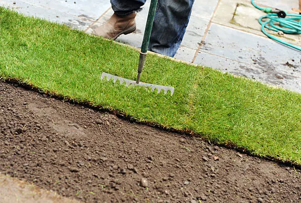 How to lay sod over existing lawn El Cajon, CA