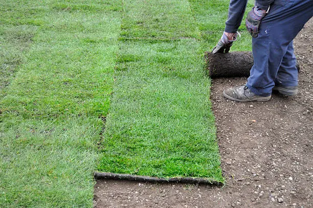 How to lay sod over existing lawn in El Cajon, CA