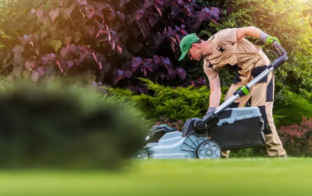 How to mow a lawn El Cajon, CA