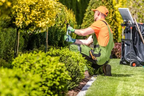 Landscaping Services