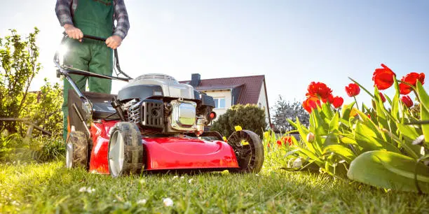 Lawn Mowing in El Cajon, CA