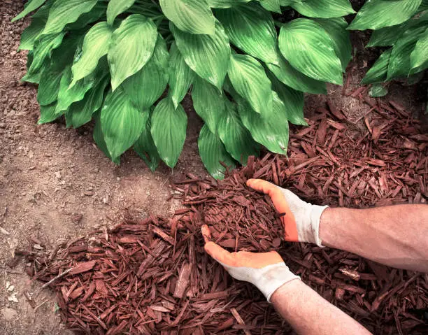 Mulching El Cajon, CA