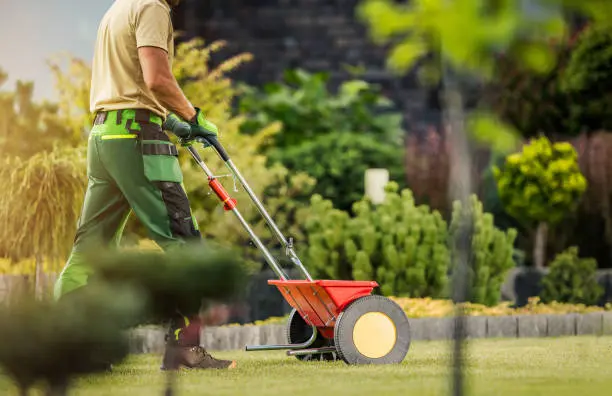 Reliable Lawn Fertilization in El Cajon, CA