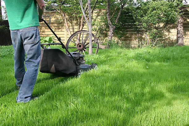 Reliable Lawn Mowing in El Cajon, CA