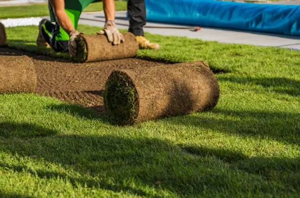 Sod Installation in El Cajon, CA