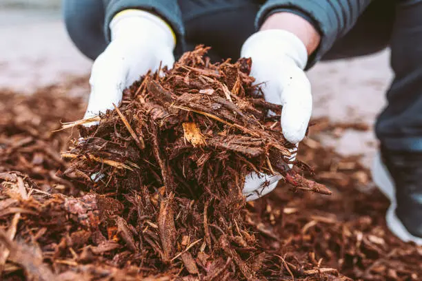 What does mulch do El Cajon, CA