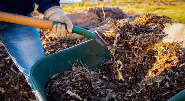 What does mulch do in El Cajon, CA