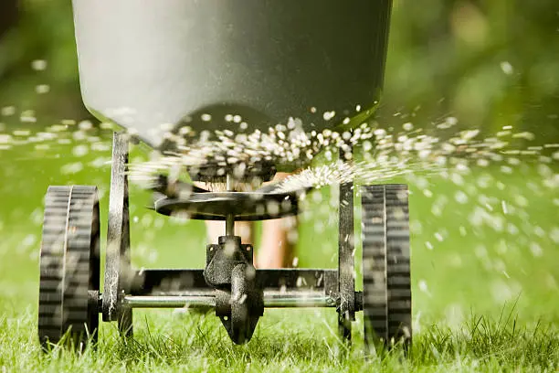 When is the best time to fertilize your lawn in El Cajon, CA